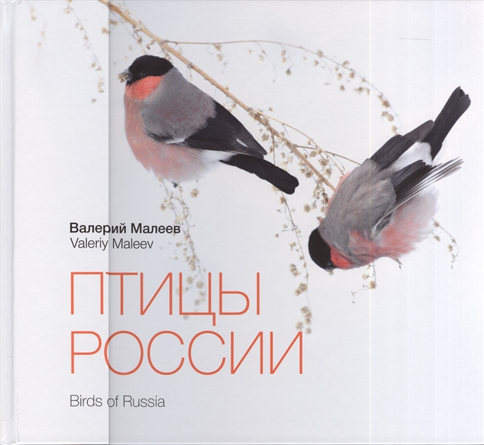 

Птицы России Birds of Russia