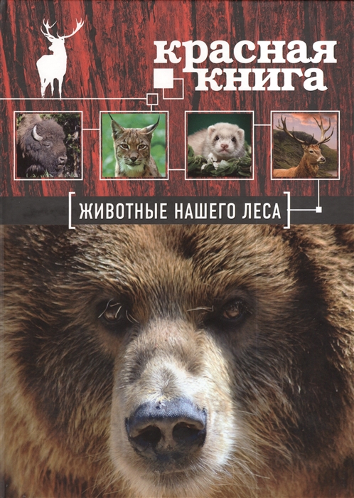 

Красная книга Животные нашего леса