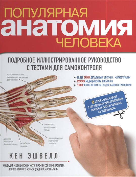 

Популярная анатомия человека Подробное иллюстрированное руководство с тестами для самоконтроля 8 прозрачных пленок с наглядными изображениями основных систем человека по отдельности