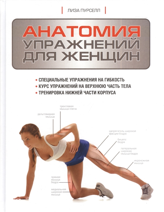 

Анатомия упражнений для женщин