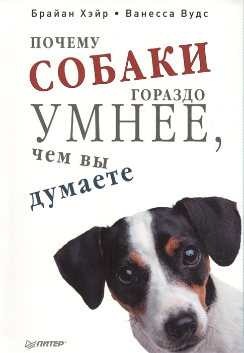 

Почему собаки гораздо умнее чем вы думаете