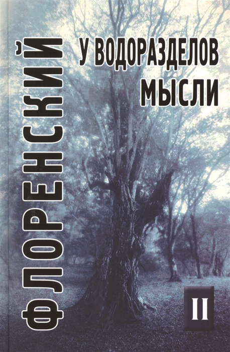 

У водоразделов мысли Черты конкретной метафизики Том 2