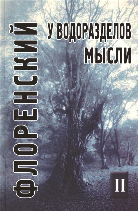 Флоренский П. - У водоразделов мысли Черты конкретной метафизики Том 2