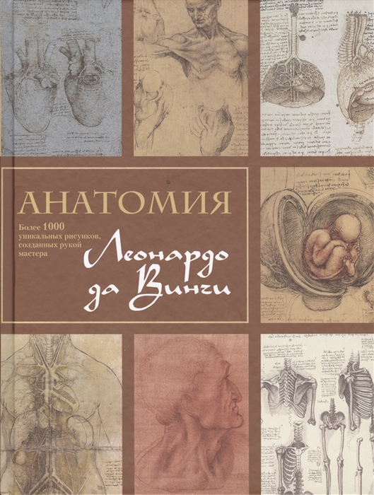 

Анатомия Леонардо да Винчи