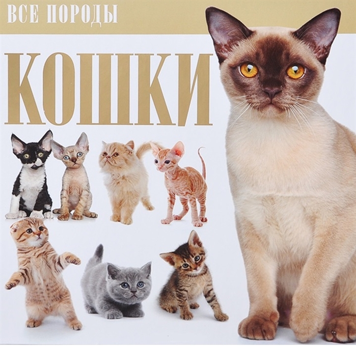 

Кошки