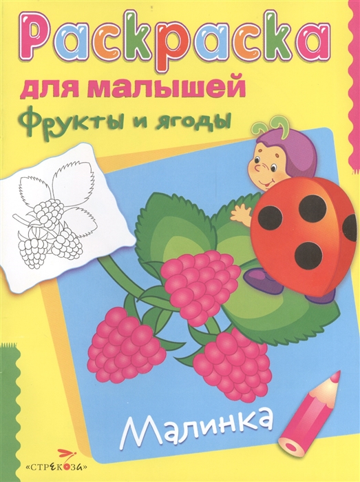 Гончарова Д., Вовикова О., Литошенко И., Морозова Ю. (худ.) - Фрукты и ягоды Малинка