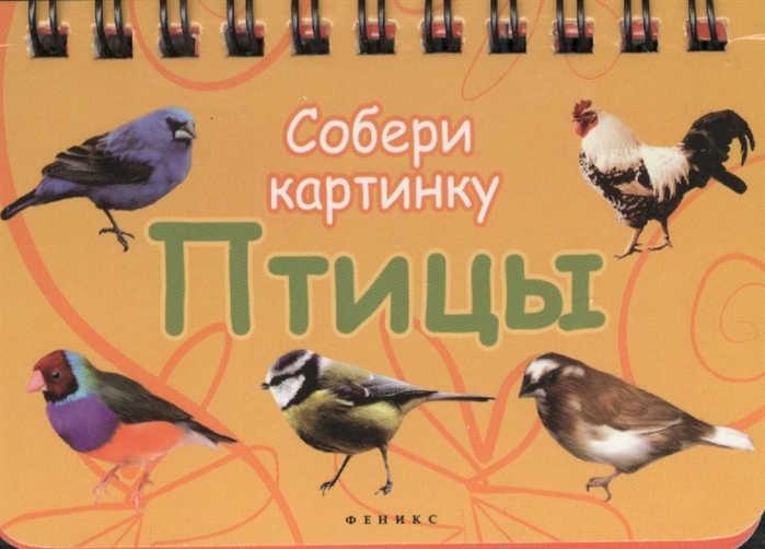 

Птицы Собери картинку