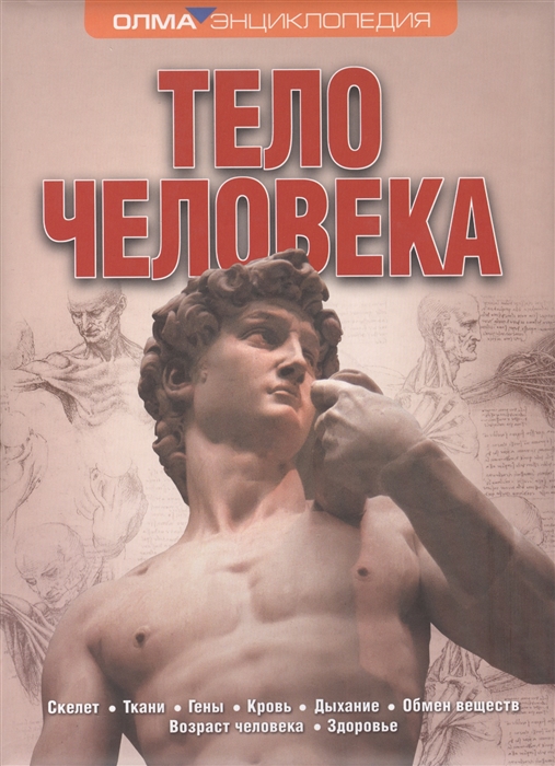 

Тело человека