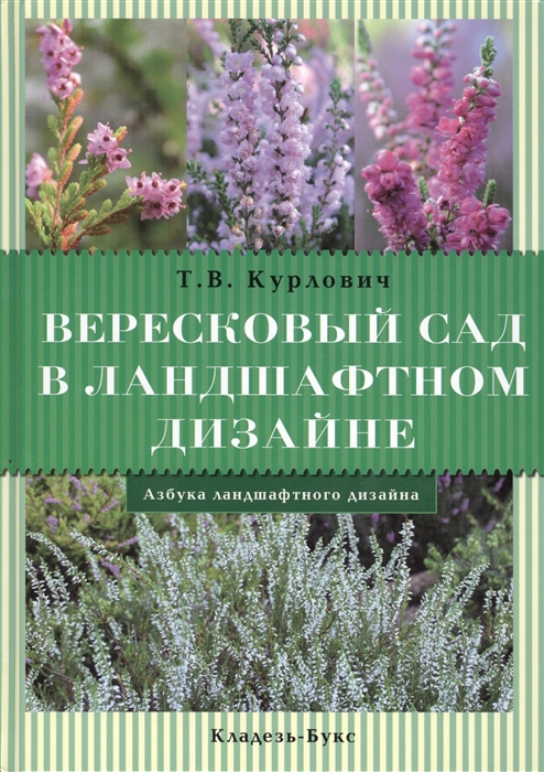 

Вересковый сад в ландшафтном дизайне