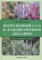 Вересковый сад в ландшафтном дизайне Вересковый сад в ландшафтном дизайне