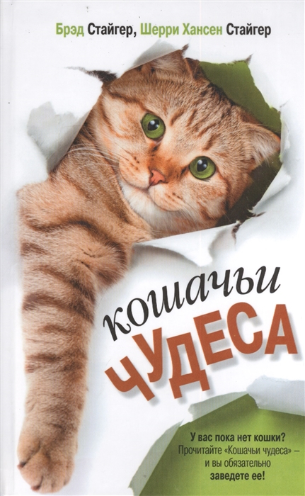 

Кошачьи чудеса