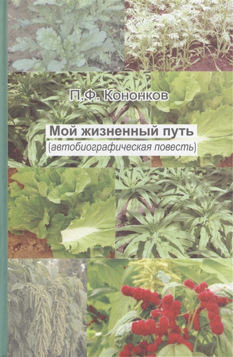 

Мой жизненный путь автобиографическая повесть