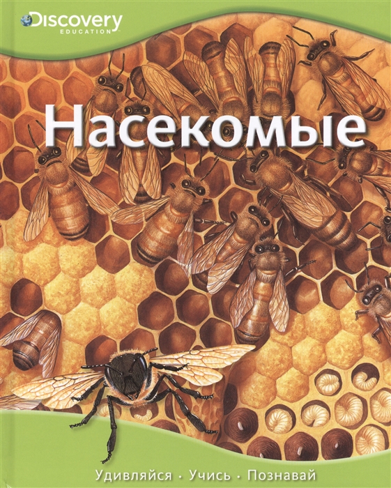 

Насекомые