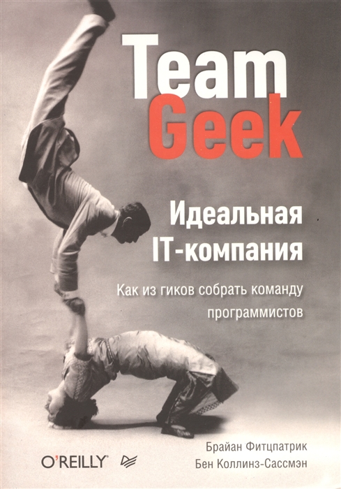

Идеальная IT-компания Как из гиков собрать команду программистов