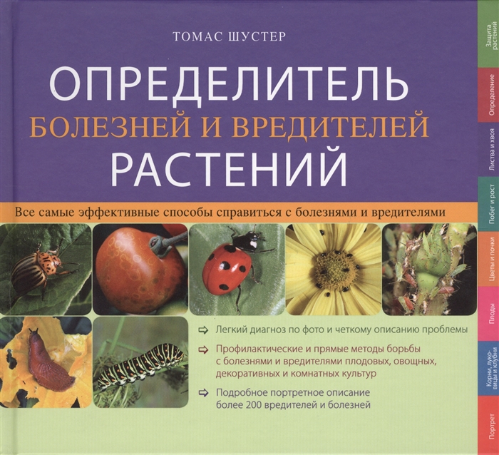 

Определитель болезней и вредителей растений Наиболее эффективные способы справиться с болезнями и вредителями
