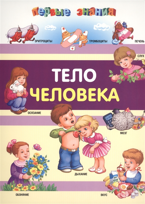

Тело человека