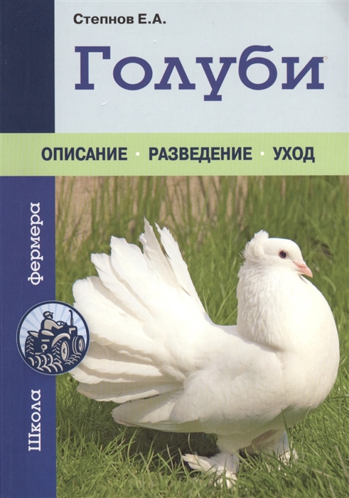 

Голуби Описание Разведение Уход