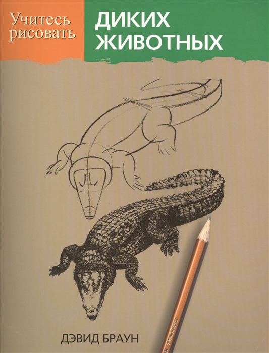 

Учитесь рисовать диких животных
