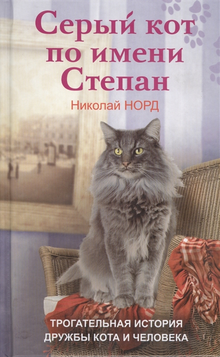 

Серый кот по имени Степан Трогательная история дружбы кота и человека