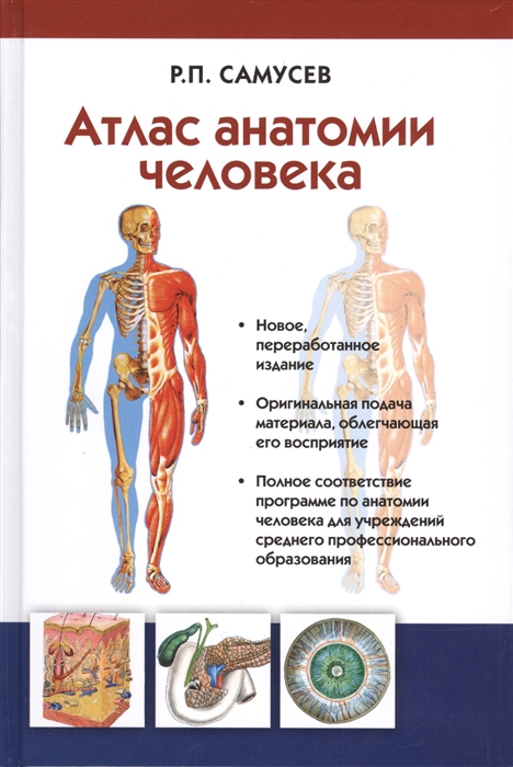 

Атлас анатомии человека