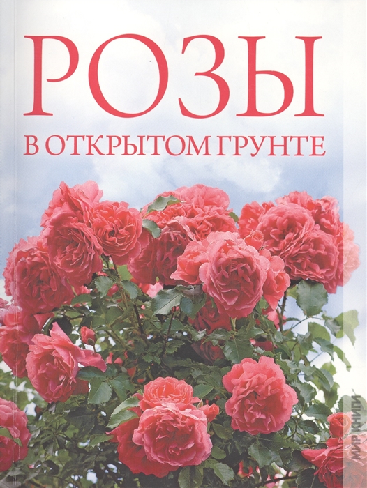

Розы в открытом грунте