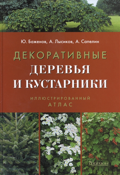 

Декоративные деревья и кустарники