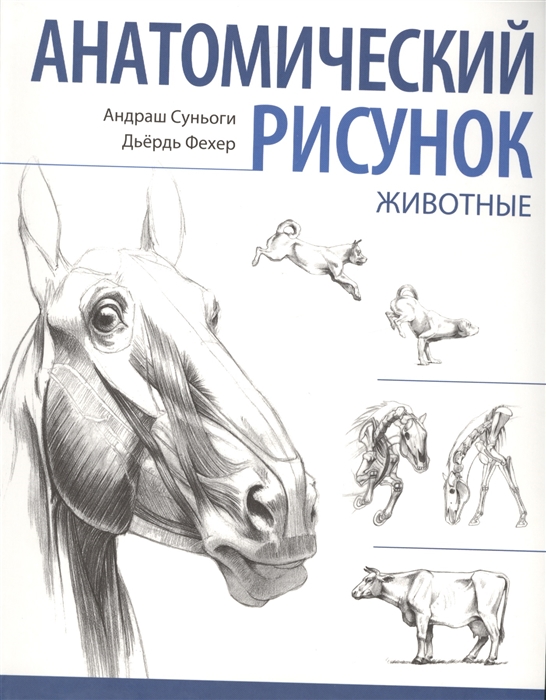 

Анатомический рисунок Животные