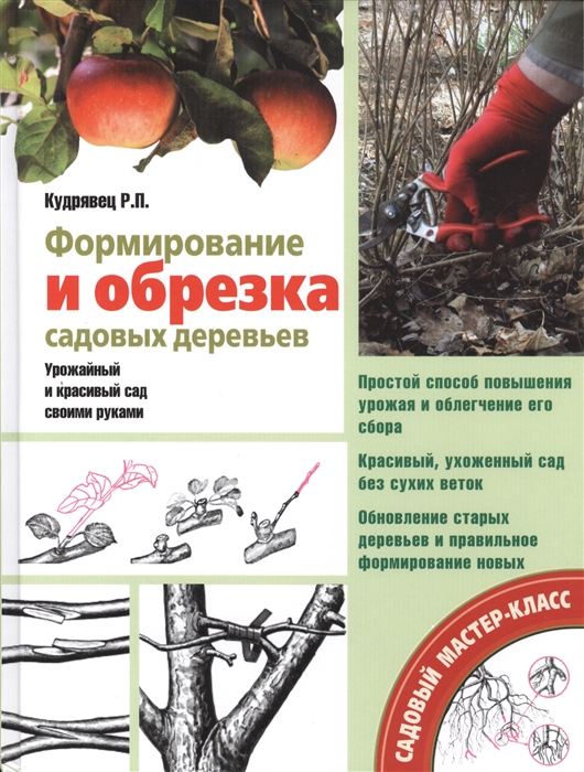

Формирование и обрезка садовых деревьев
