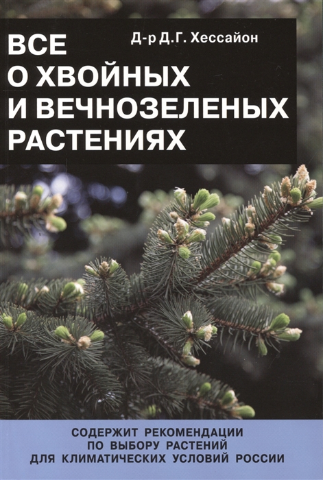 

Все о хвойных и вечнозеленых растениях