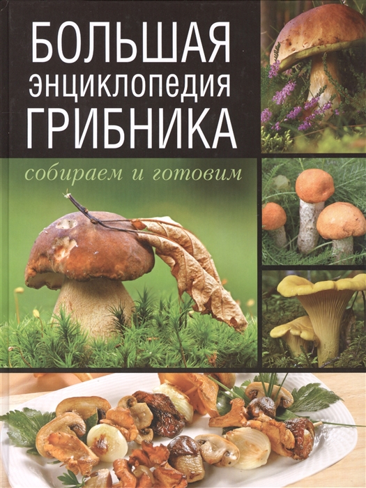 

Большая энциклопедия грибника Собираем и готовим