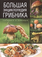 Большая энциклопедия грибника. Собираем и готовим Большая энциклопедия грибника. Собираем и готовим