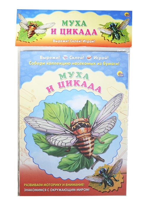 

Муха и цикада