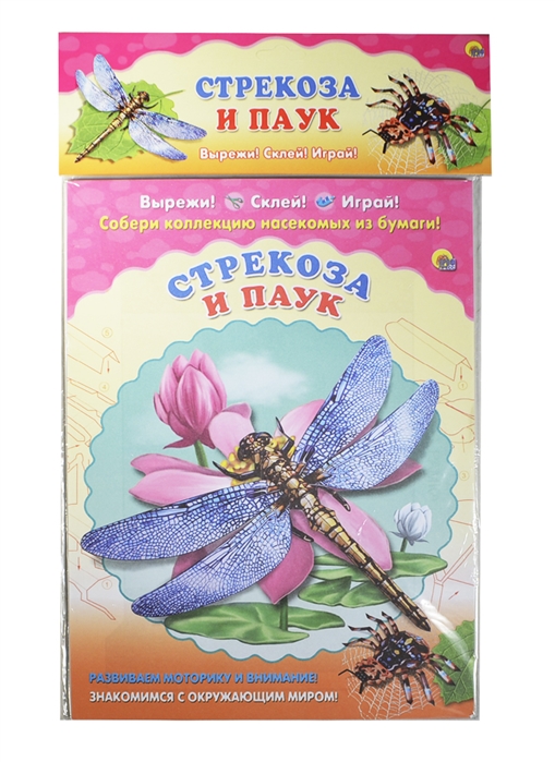 

Стрекоза и паук