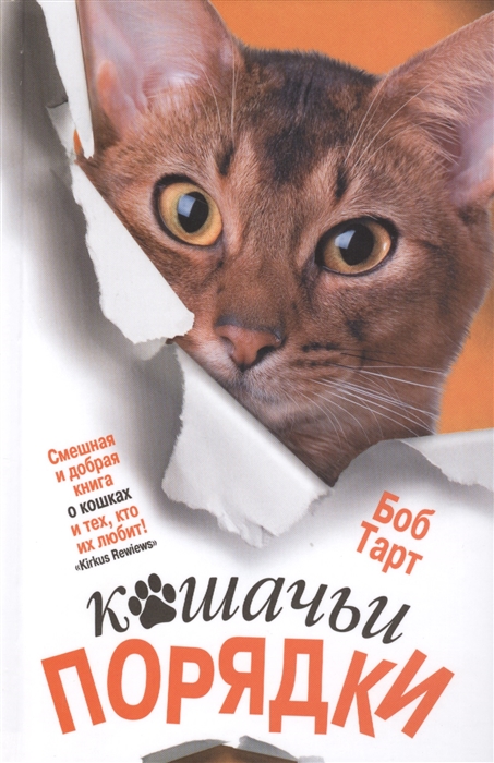 

Кошачьи порядки