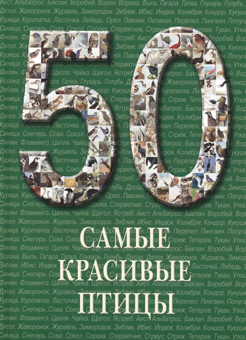 

50 Самые красивые птицы Иллюстрированная энциклопедия