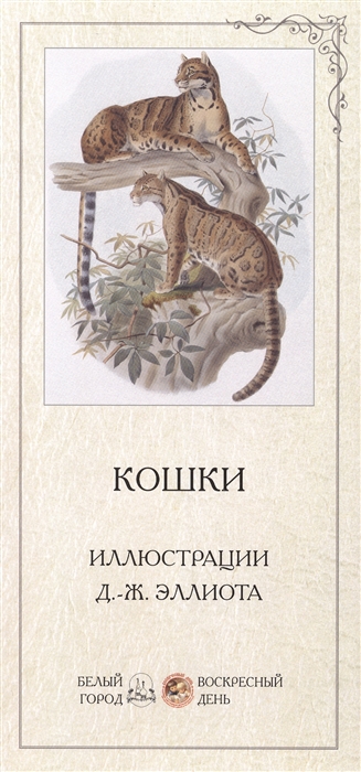 

Кошки. Иллюстрации Д.-Ж. Эллиота