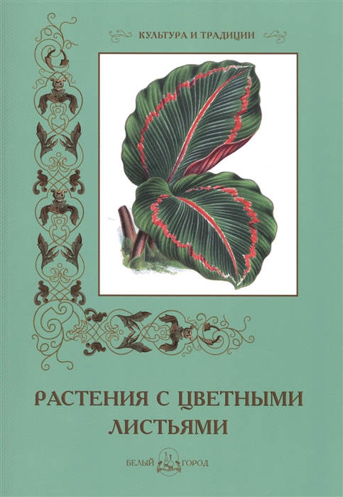 Иванов С. - Растения с цветными листьями