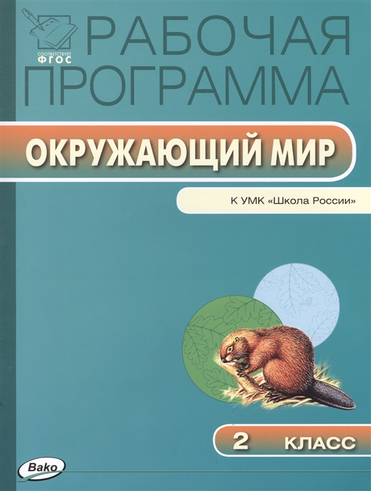 

Рабочая программа по курсу Окружающий мир 2 класс К УМК А А Плешакова Школа России