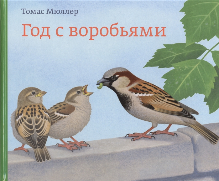 

Год с воробьями