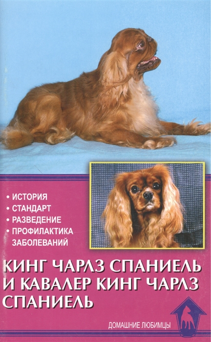 

Кинг Чарлз спаниель и кавалер кинг Чарлз спаниель История Стандарт Разведение Профилактика заболеваний