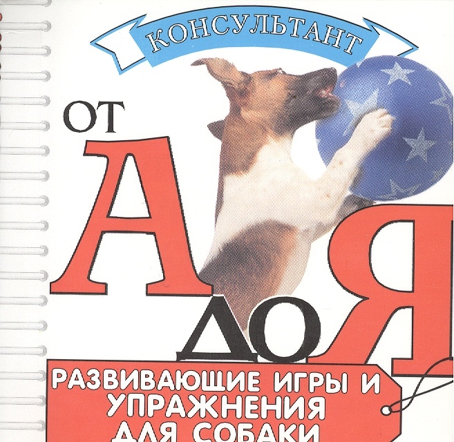 

Развивающие игры и упражнения для вашей собаки