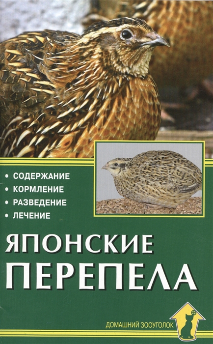 

Японские перепела Содержание Кормление Разведение Лечение