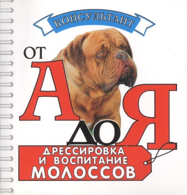 

Дрессировка и воспитание молоссов