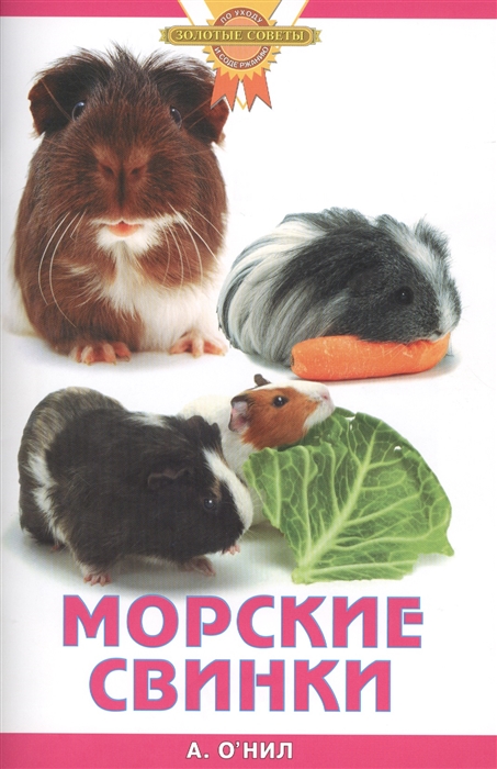 

Морские свинки
