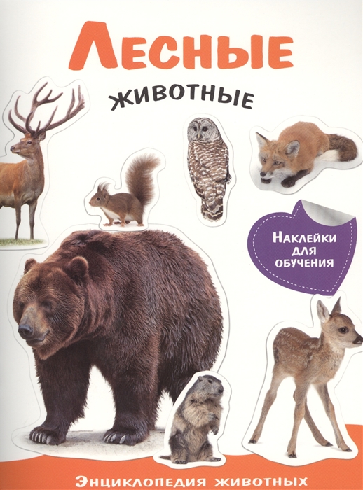 

Лесные животные