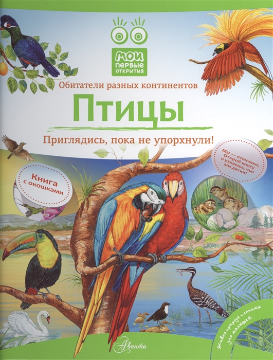 

Птицы Приглядись пока не упорхнули Книга с окошками