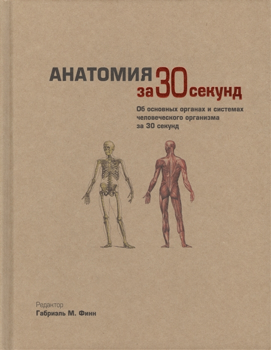 

Анатомия за 30 секунд Об основных органах и системах человеческого организма за 30 секунд
