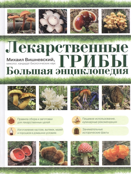 

Лекарственные грибы Большая энциклопедия