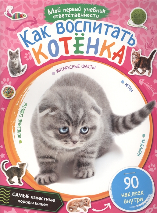 

Как воспитать котенка