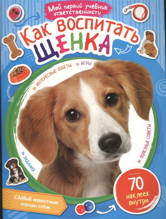 

Как воспитать щенка